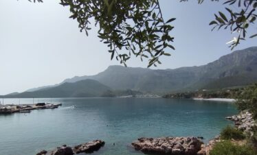 Άποψη Αγίας Κυριακής, Κυπαρίσσι